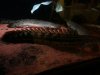 uploadfromtaptalk1359084644075.jpg
