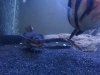 20130119_232722.jpg