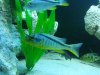 20130123_000140.jpg