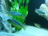 20130123_000144.jpg