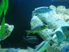 20130123_000231.jpg