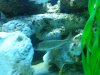 20130123_000101.jpg
