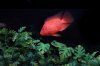 IMG_2513#2.JPG