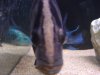 DSC00029.JPG