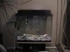 my 45 gallon.jpg