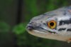 DSC_0303.JPG DSC_0303.JPG