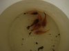 DSC06080.JPG