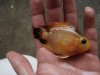 DSC06076.JPG