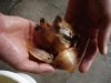 DSC06084.JPG