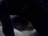 uploadfromtaptalk1359511738141.jpg