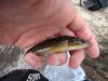 DSC04662.JPG