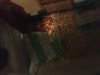 ImageUploadedByMonsterAquariaNetwork1360079388.036398.jpg ImageUploadedByMonsterAquariaNetwork1360079388.036398.jpg