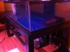 IMG_8905.jpg IMG_8905.jpg