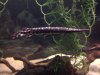 IMG-20130209-00286.jpg