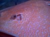 IMG-20121210-01359.jpg