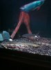 ImageUploadedByMonsterAquariaNetwork1360781735.907043.jpg