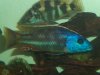 100_1678.JPG 100_1678.JPG