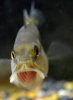 11102012TheBloop1.jpg