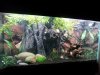 20120501_202451.jpg