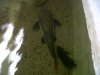 IMG00193-20121003-2120.jpg