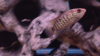 photo(48).PNG