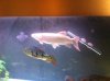 2013-02-21 18.29.47.jpg
