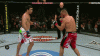 Lyoto-Machida-Crane-Kick.gif