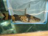 DSC05494.JPG