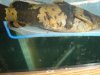 DSC05495.JPG