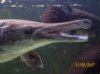 100_0655.jpg