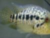 HPIM0013.JPG
