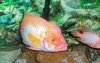 100_2610.jpg
