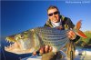 african tiger fish 3.jpg