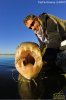 african tiger fish 4.jpg