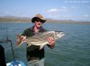 african tiger fish 7.jpg