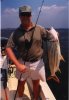 Ward's%20Tiger%20Fish.JPG