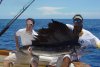 mysailfish1.jpg