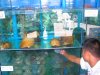 Picture 040.jpg