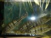 DSC07644.JPG