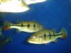 DSC05995.JPG
