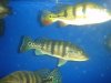 DSC05985.JPG