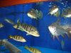 DSC04783.JPG
