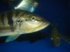 DSC04785.JPG