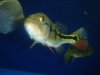 DSC04794.JPG