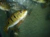 DSC04815.JPG