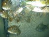DSC04816.JPG