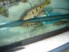 DSC04760.JPG