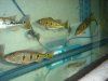 DSC04757.JPG
