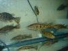 DSC04747.JPG
