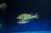DSC_0075.JPG